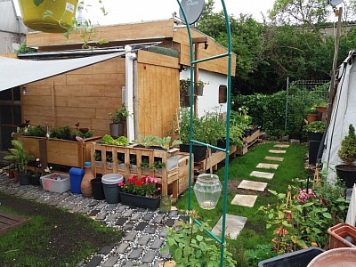 Garten- und Eingangsbereich