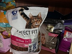 Trockenfutter für unsere Streunerkatzen