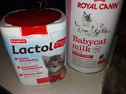 Aufzuchtmilch für die Babys