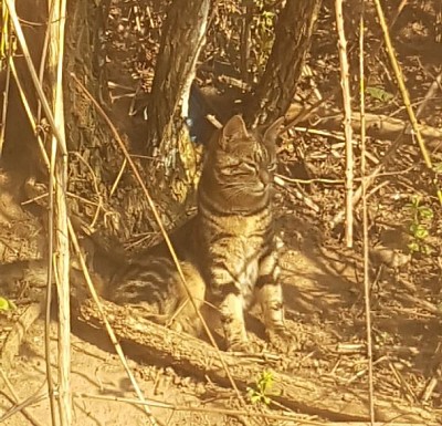 Erstmal Sonne genießen