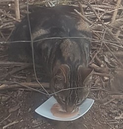 Mjam mjam lecker lecker schlecksnack