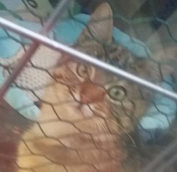 Tyga sucht Kontakt zu uns