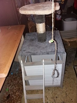 Klettermöglichkeiten