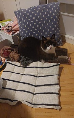 Selbsgenähtes Deckchen, Kissen usw.