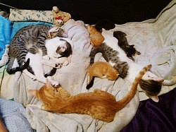 Unsere Handaufzuchten