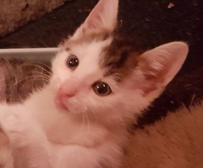 Jumpa unser Sorgenkind