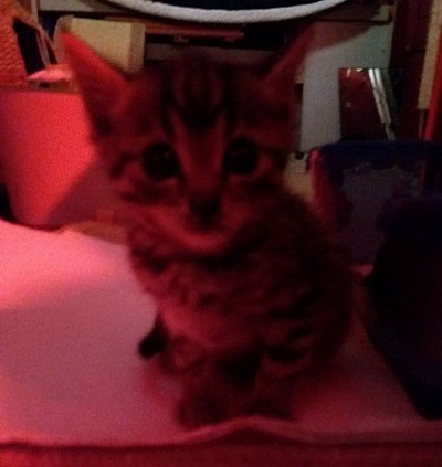 Die ersten Momente in denen man hoffen darf