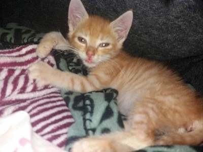 Unser kleiner am schmusen und schnuckeln