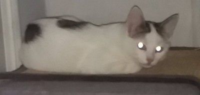 Linus wieder bei uns